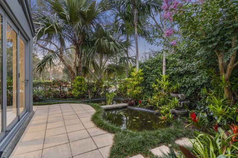 Site 166 - Established Saumarez