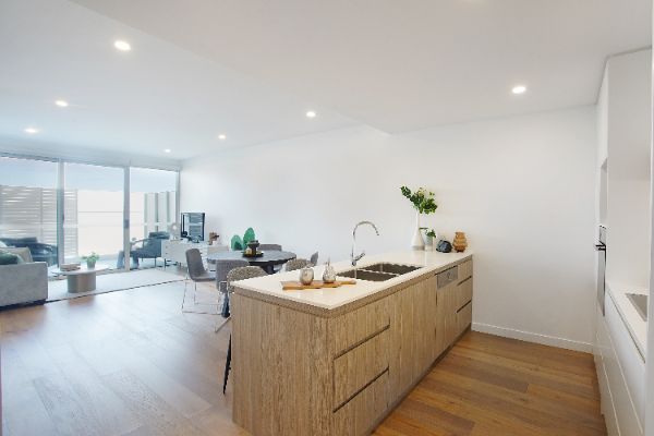 Apartment 211 at The Healey