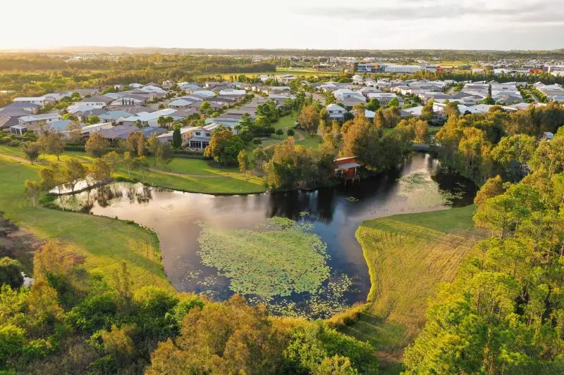 Site 36 - Established Hinchinbrook