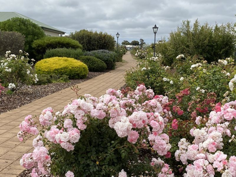 Lovely neat Sturt - Perfect Location