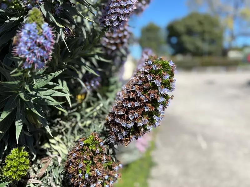 Peninsula Parklands - Site 22