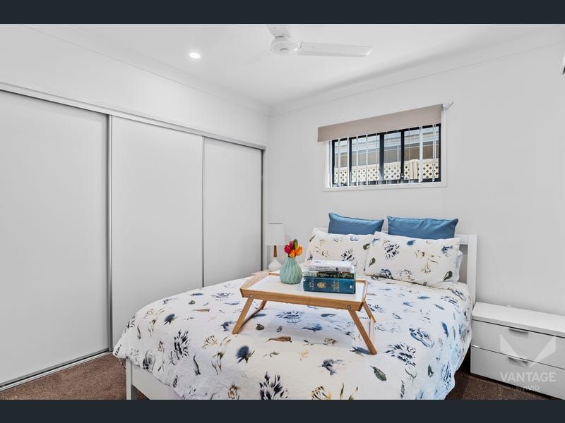 Positioned on a Light-Filled Corner Block