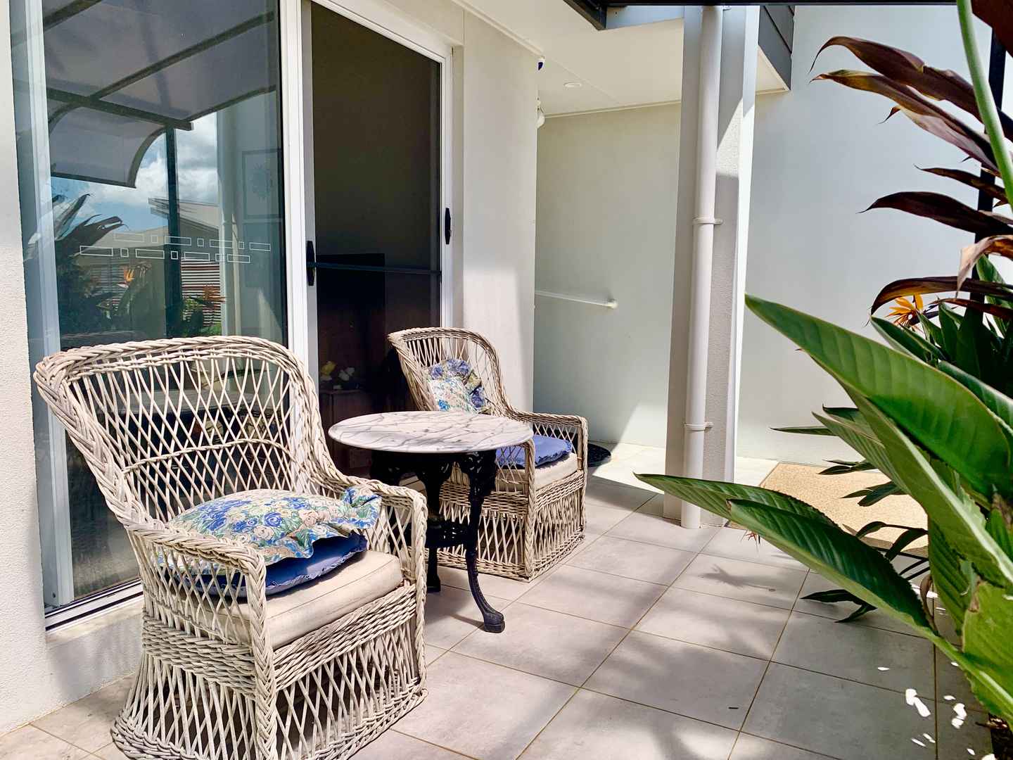 IT'S RARE , IT'S MODERN , IT'S NORTH FACING , AND IT