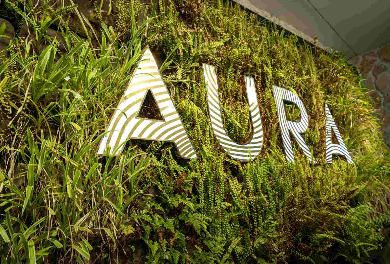 Aura Retirement Resort: two-bedroom apartment designed for a premium lifestyle at Aura