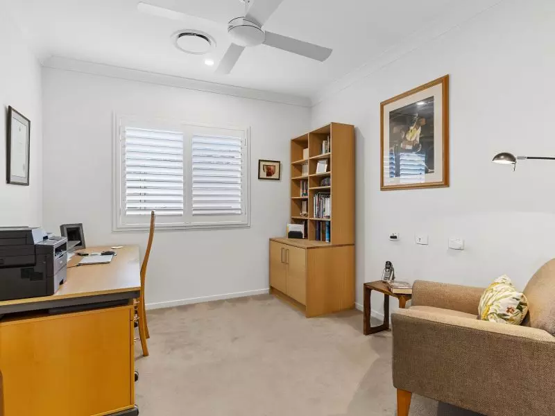 Site 28 - Established Sequoia