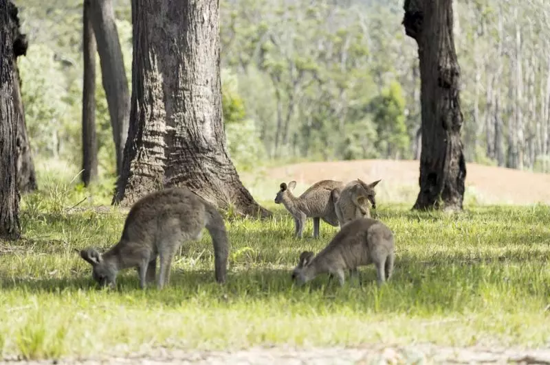 Modern, spacious and peacefully located