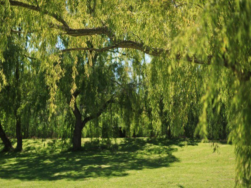 An active lifestyle in idyllic surroundings