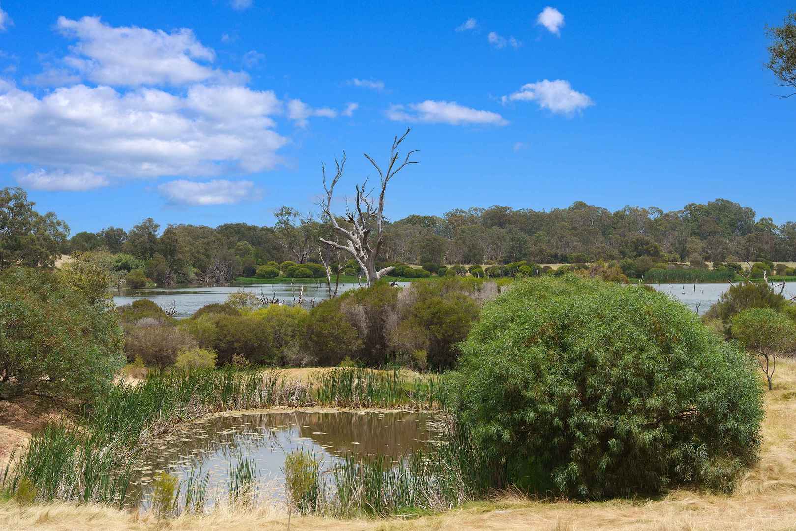 Aspen Living Viveash 