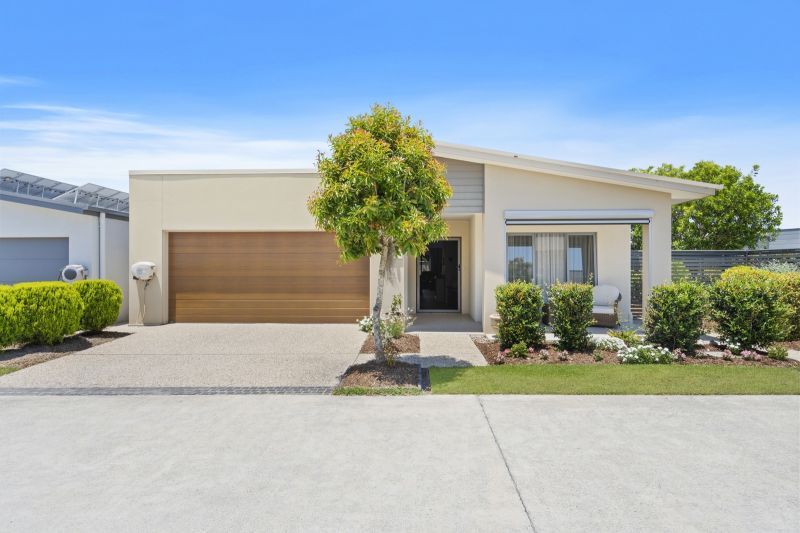 Site 231 - Established Kestral MK11