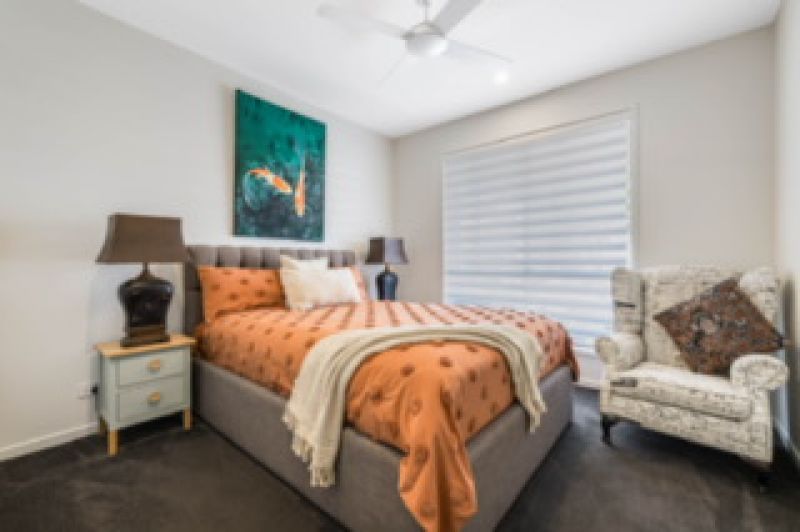 Site 262 - Established Sequoia