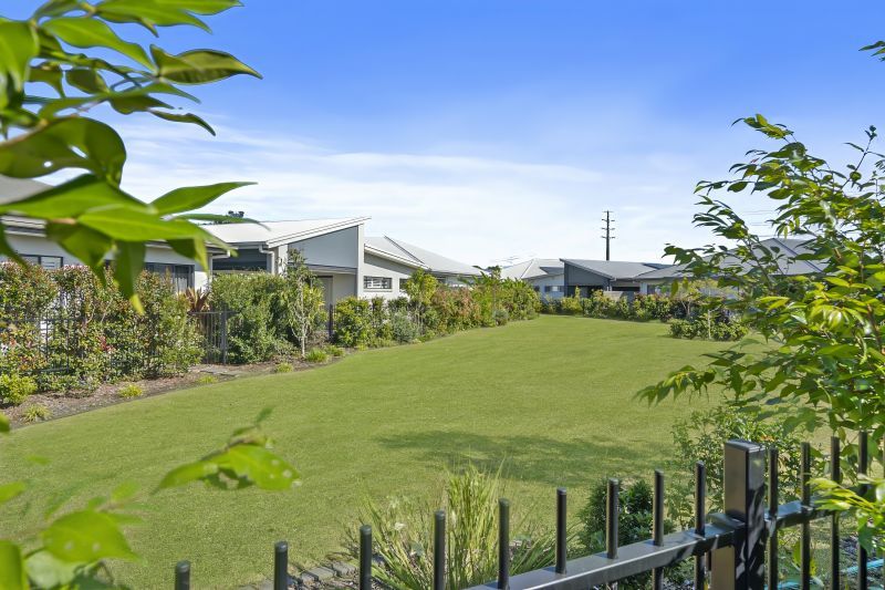 Site 217 - Established Sequoia