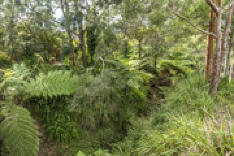 Stylish refurbished home in a tranquil setting!