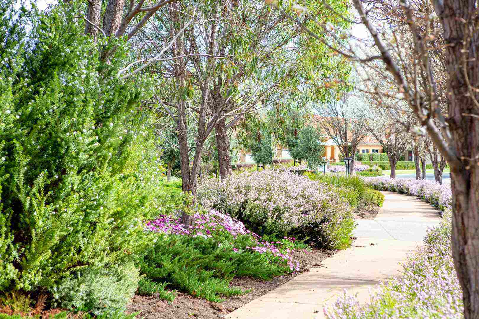 Spacious 2 Bedroom Brick Villas at Burnside!