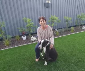 Claws and effect: Downsizers reap the rewards of pet ownership