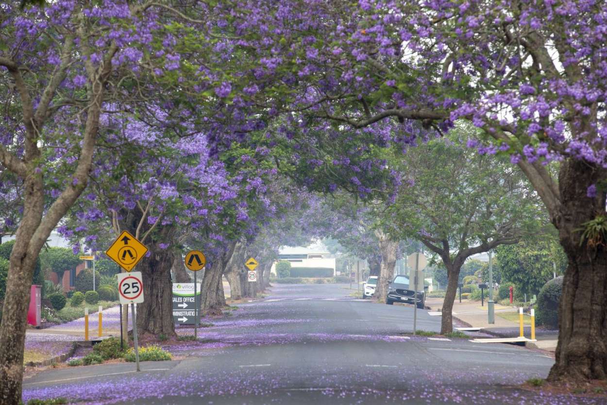 3 Bedroom Villas from $440,000 - The Village on the Downs, Toowoomba