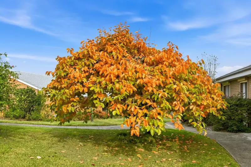 Cosy, Low-Maintenance, Great Value