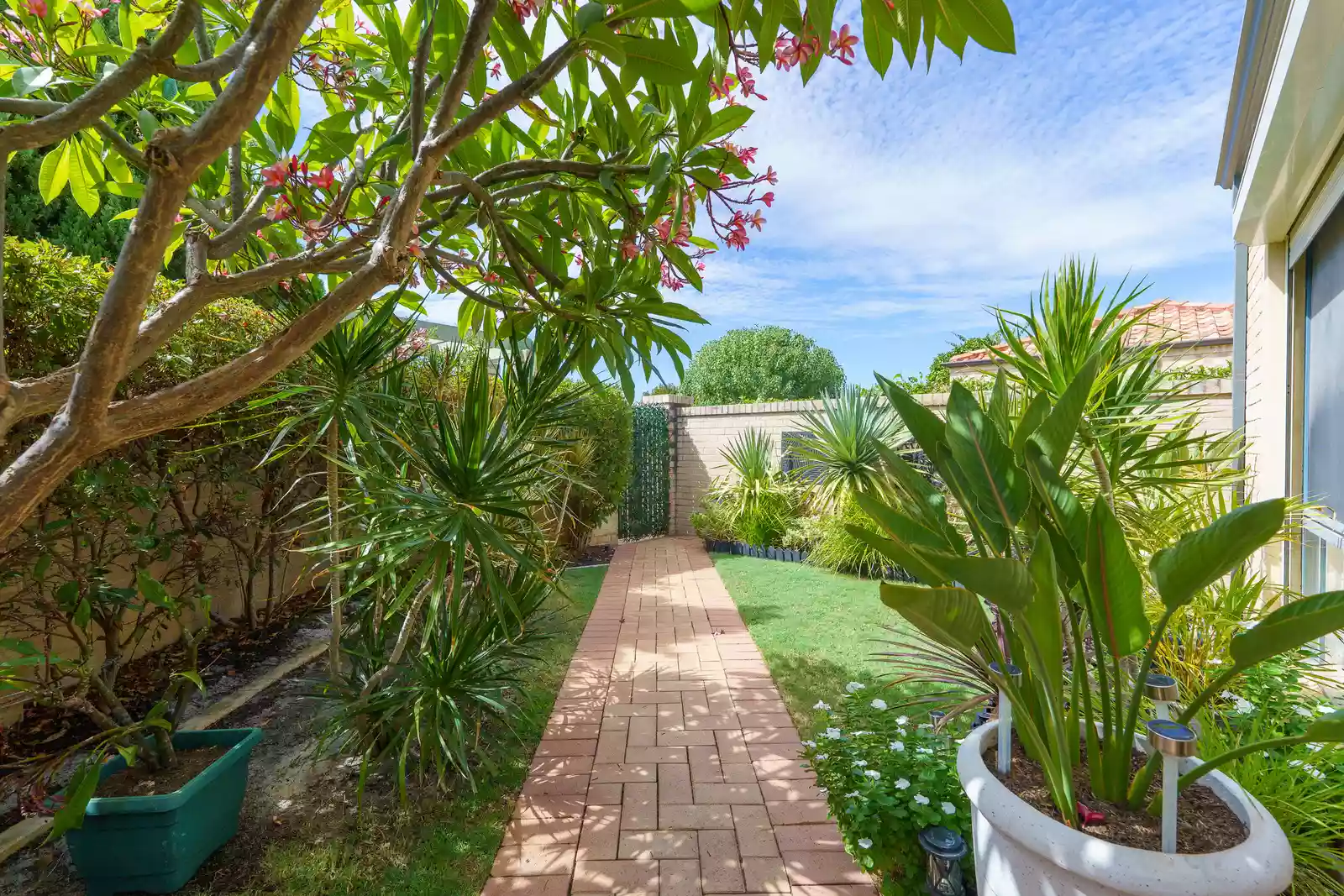 Light-filled corner home with garden views & north-facing courtyard