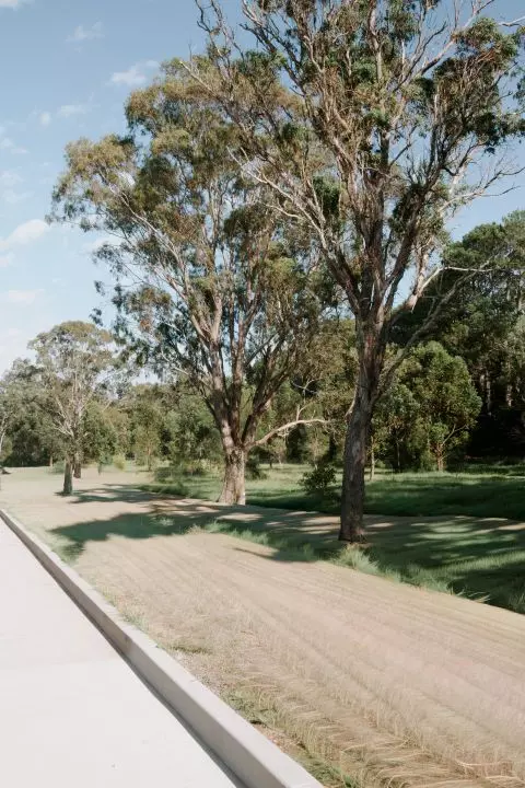 Grevillea Design - Tallowood Resort Living