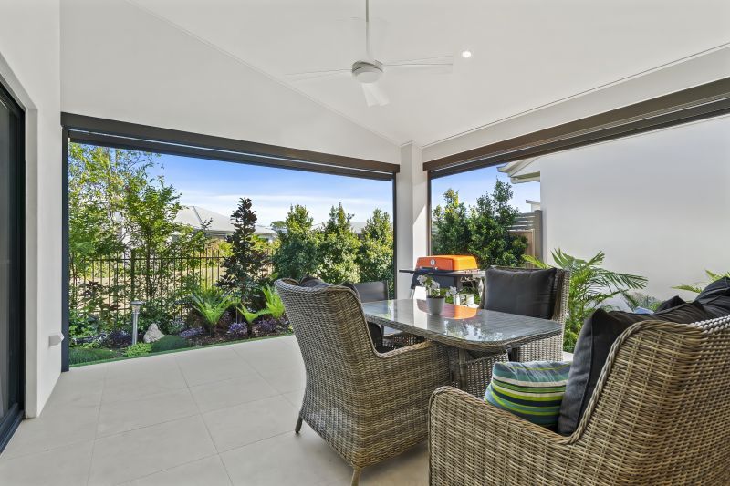 Site 217 - Established Sequoia