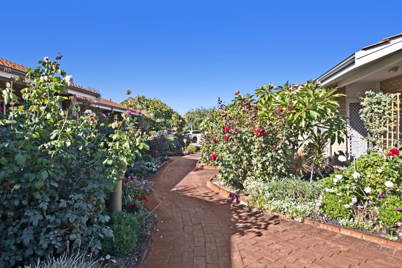 43/39 Hertha Road, Innaloo, WA 6018