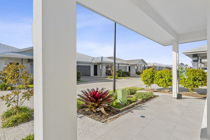 Site 207 - Established Beechmont