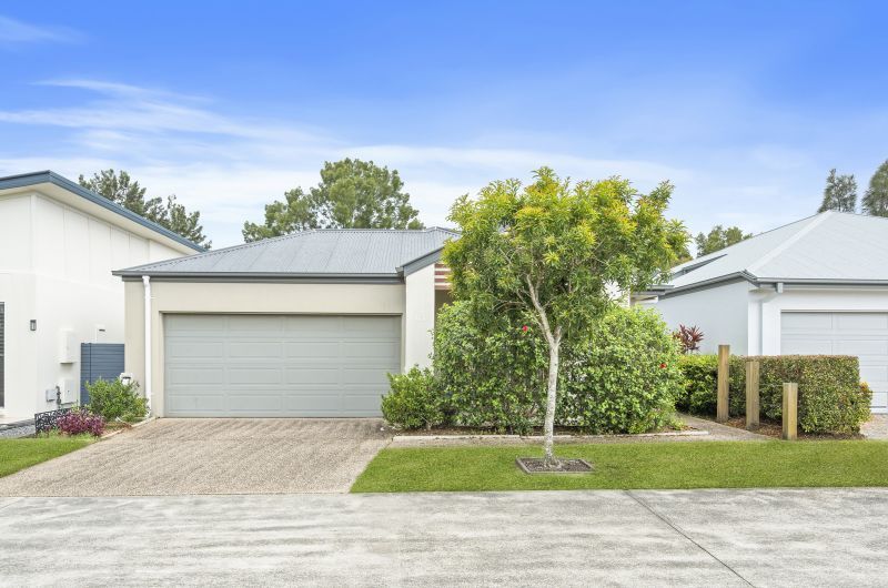 Site 63 - Established Flinders
