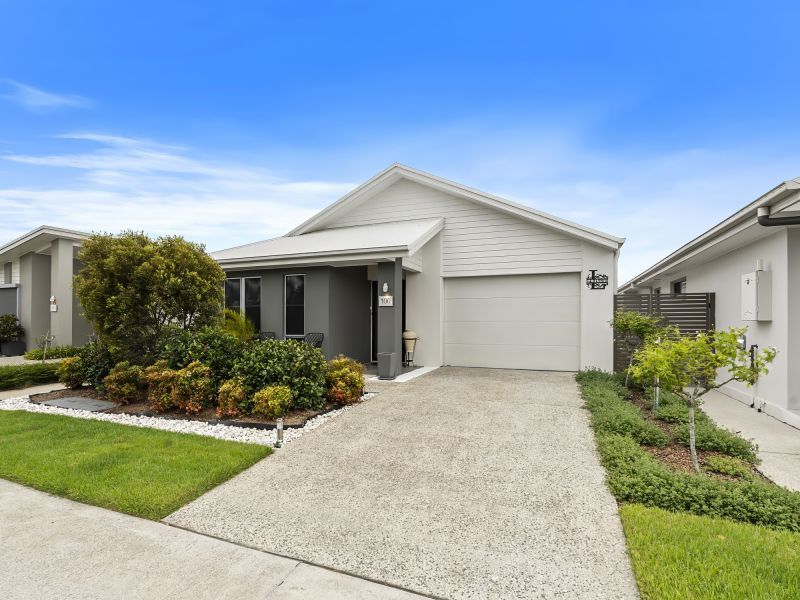 Site 100 - Established Davenport