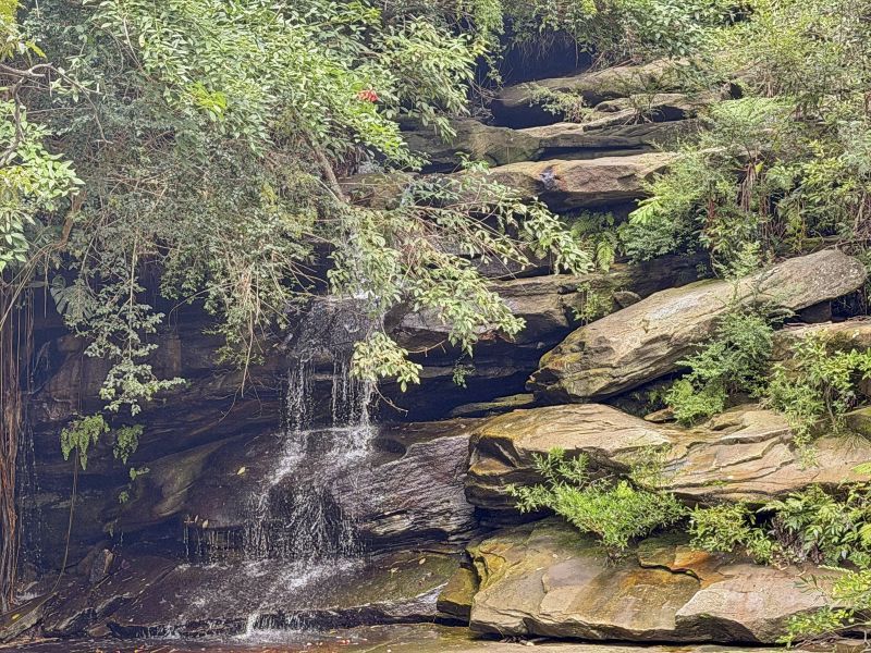 Ready to move in! Spacious apartment with Balcony, Lift Access & Serene Views