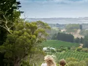 Adelaide Central and Hills