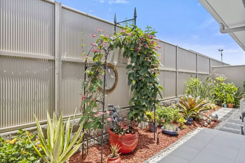 Site 148 - Established Kalbar