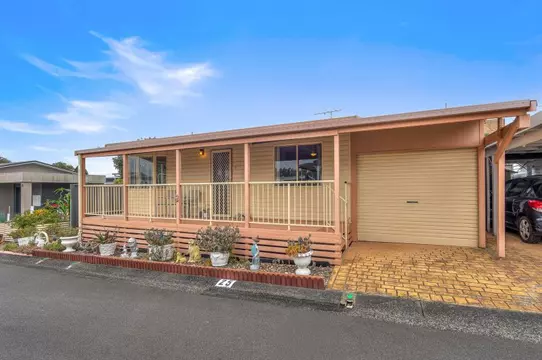 Vibrant Living with Peace of Mind