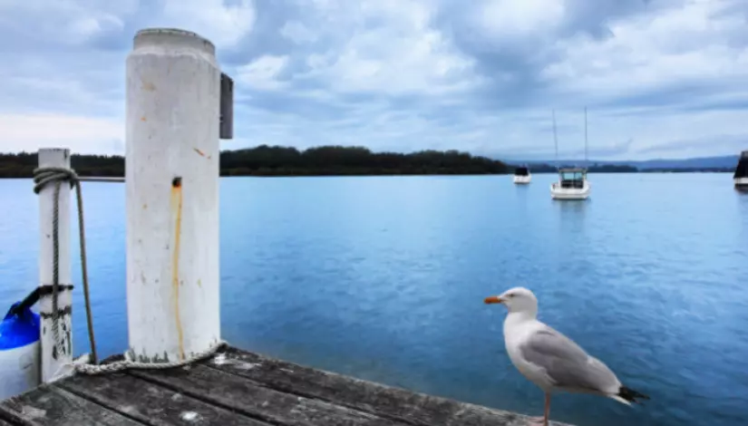 Kincumber & Surrounds