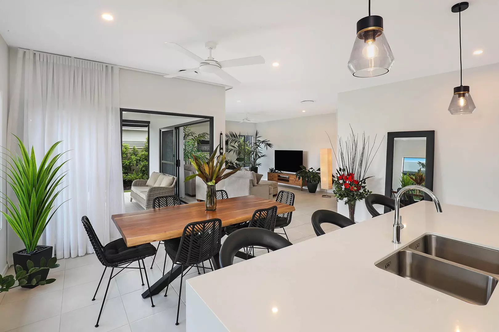 The Next Chapter is Looking Amazing! V238