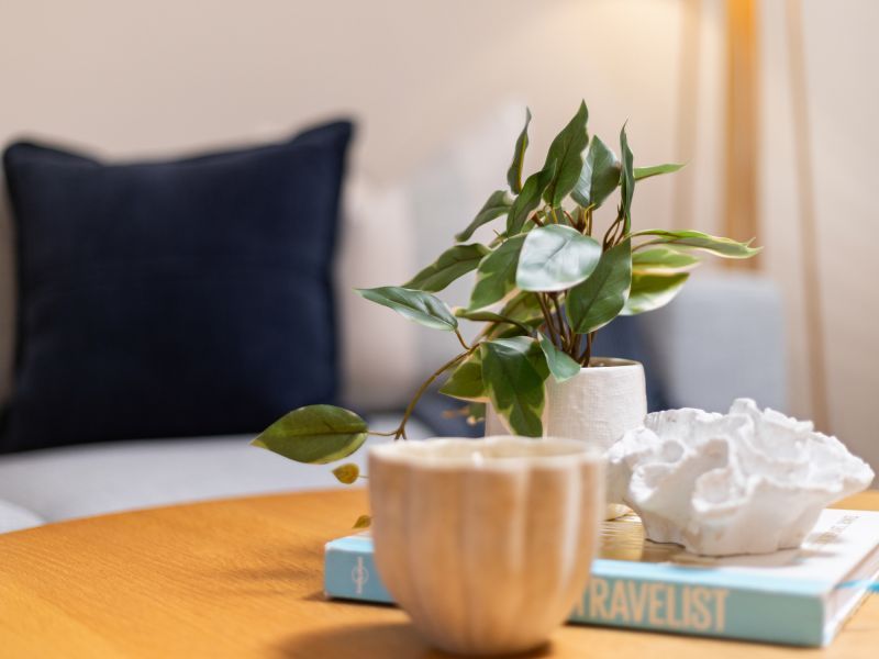 Charming 2br unit overlooking Tanti Creek Reserve