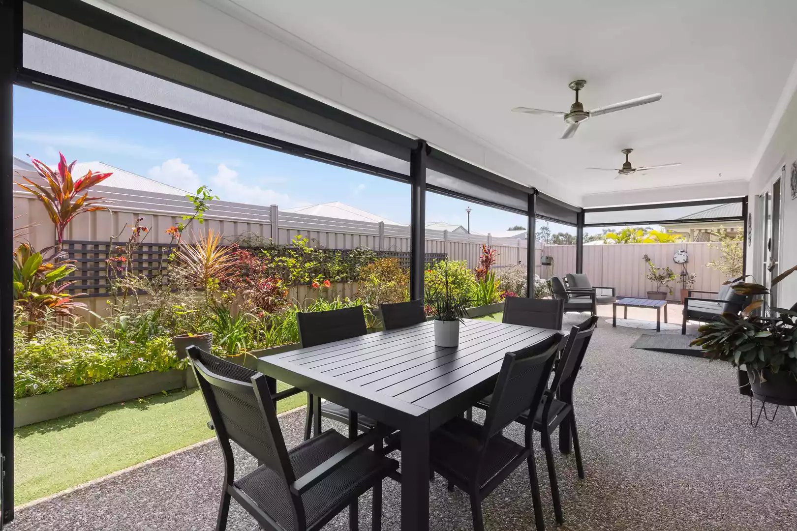 A Rare Find in Happy Street