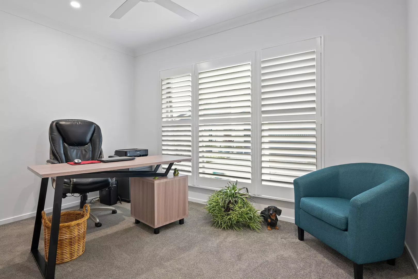 Fontein by Palm Lake Resort