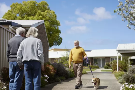 Northern Light, Modern Living