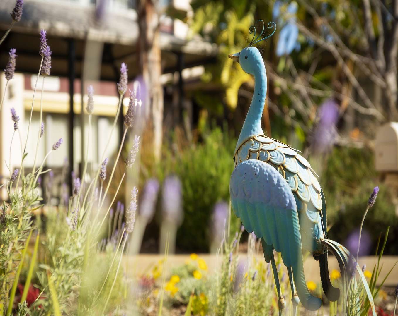 Resthaven Mitcham offers residential aged care and respite accommodation for older people