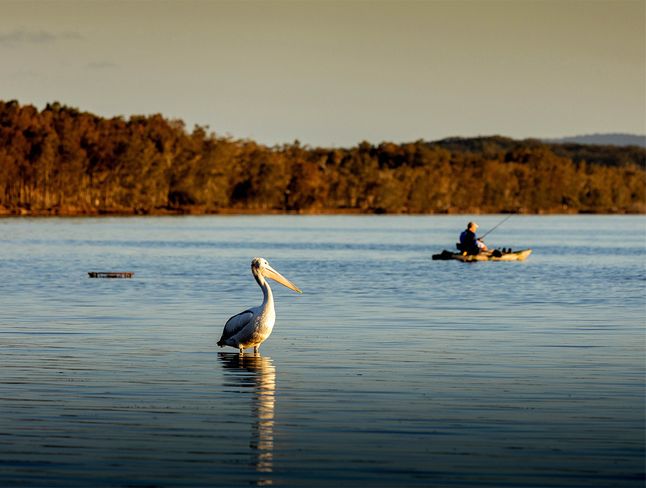 Join Us at Our Lakeside Forster Village Open Day