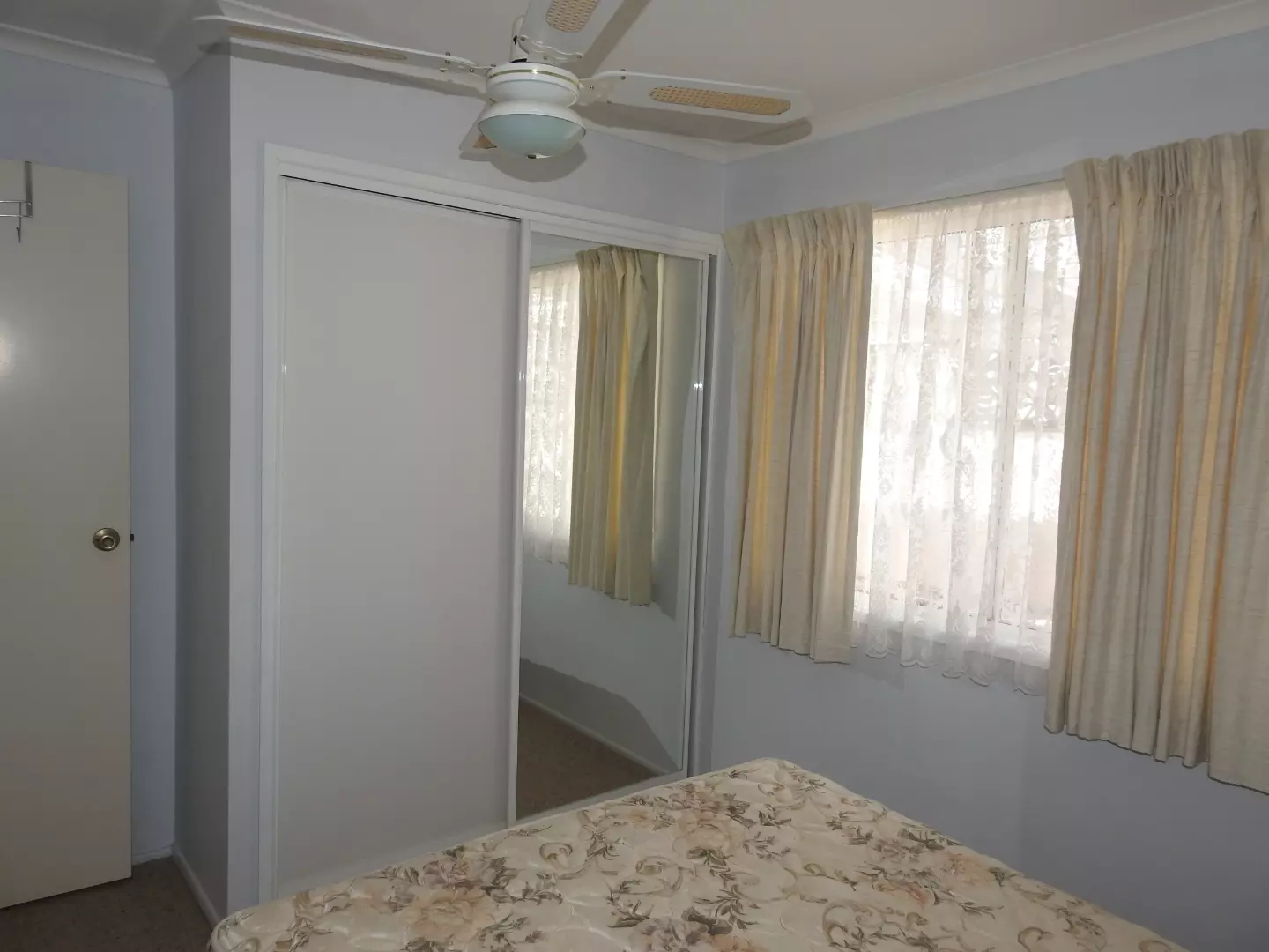 Great little Renovator