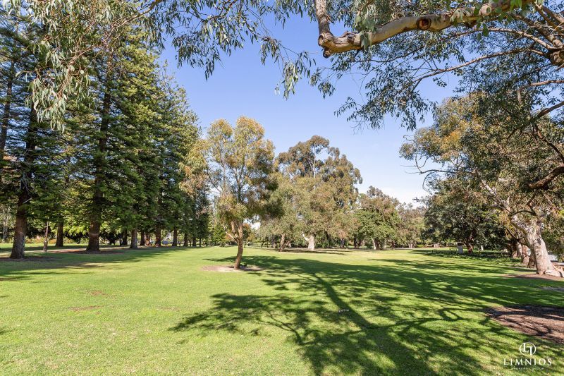 Investment Potential!