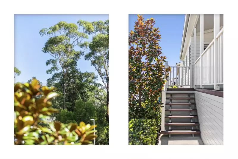 Elevated Sunset Views