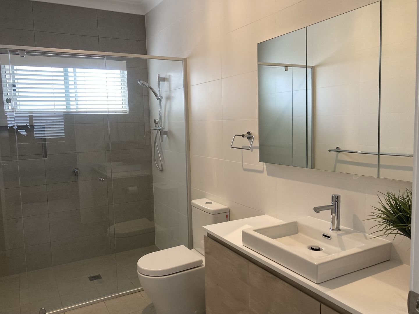 Melaleuca Design - Available Now