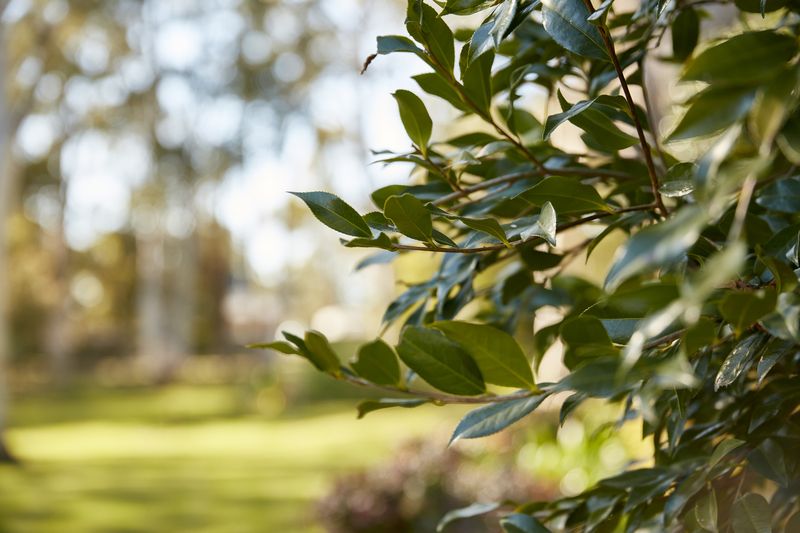 Two bedroom home for the price of one