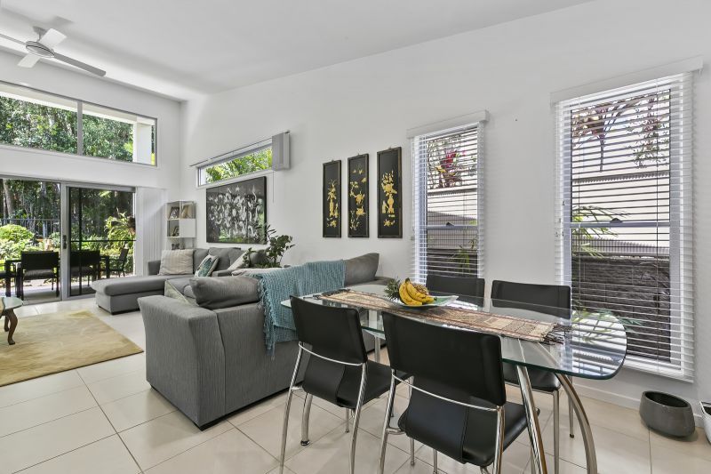 Stunning Rainforest Backdrop