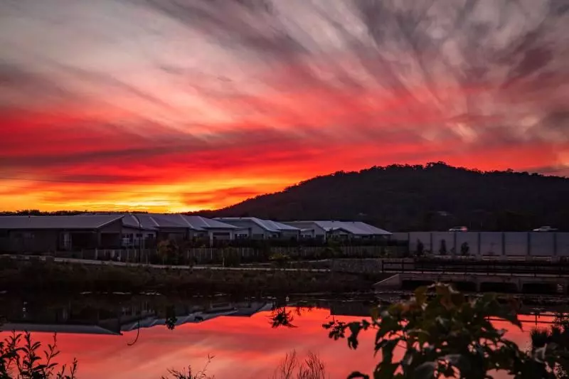 Site 299 - Established Sequoia