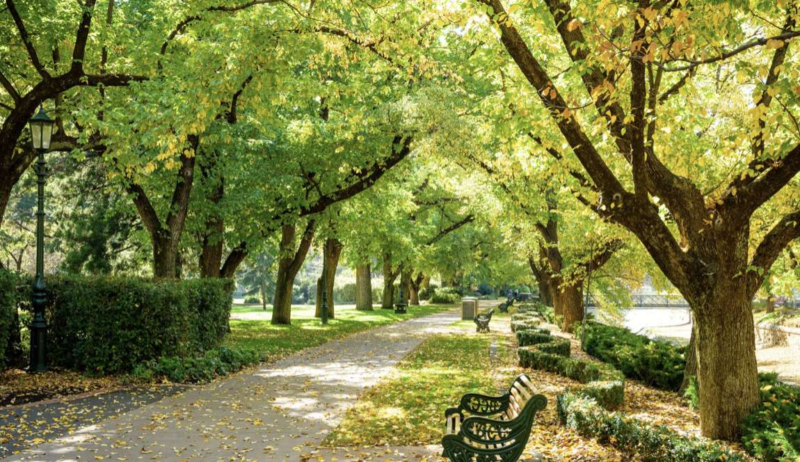 Bendigo