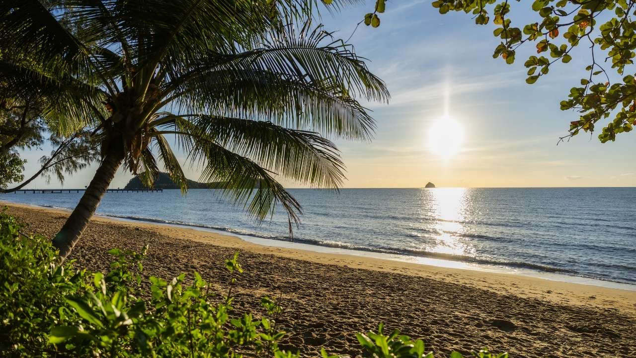 Positioned on the cusp of city and sea, Thyme Palm Cove is a unique blend of nature, freedom and connection