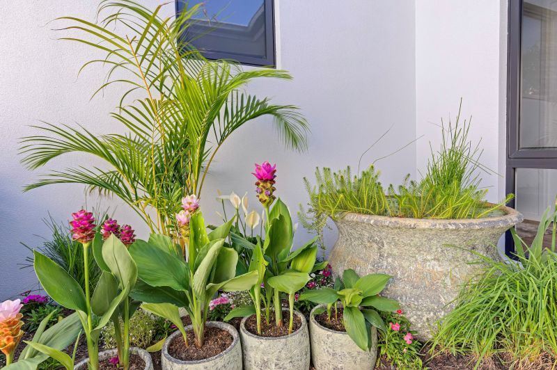 Site 165 - Established Cottesloe