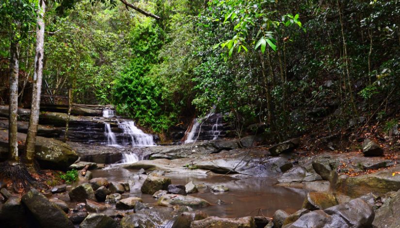 Buderim